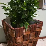 Etni Casa 公寓 *